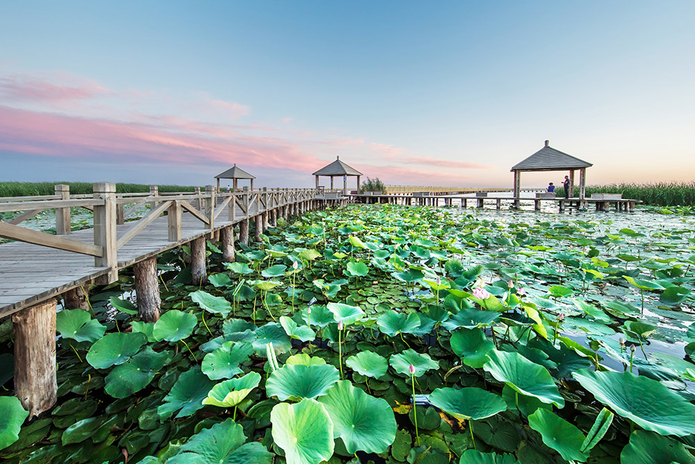 美麗的哈素海