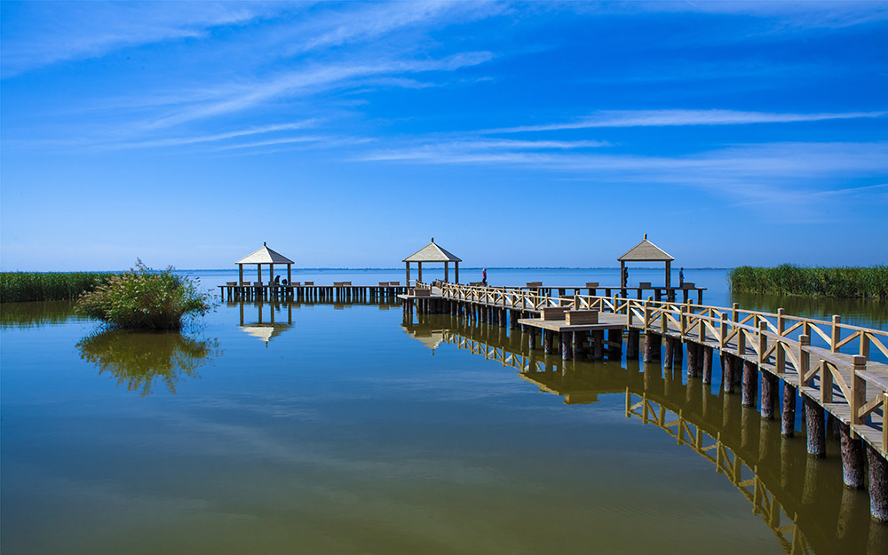 哈素海美景