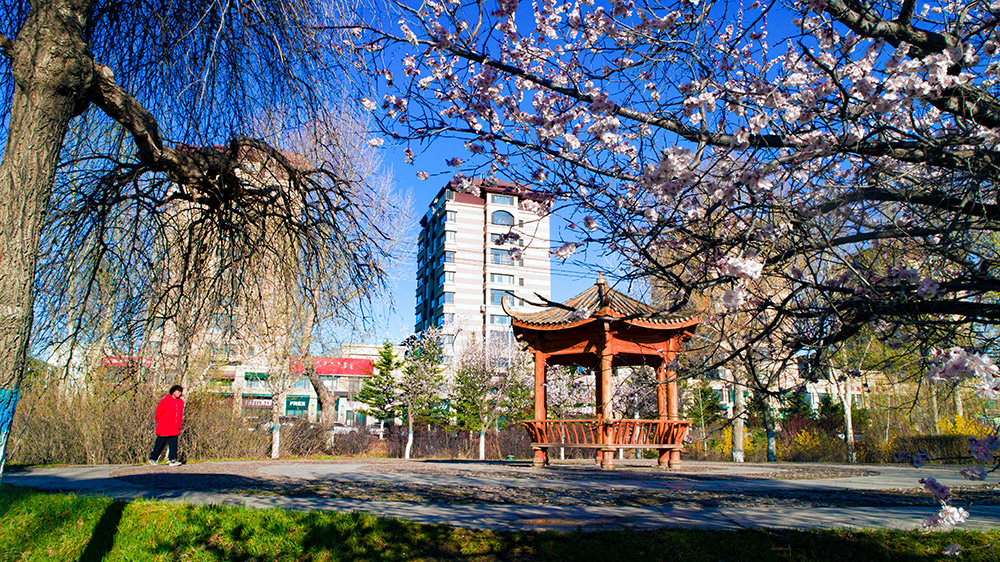 霍林郭勒市城市景觀一角