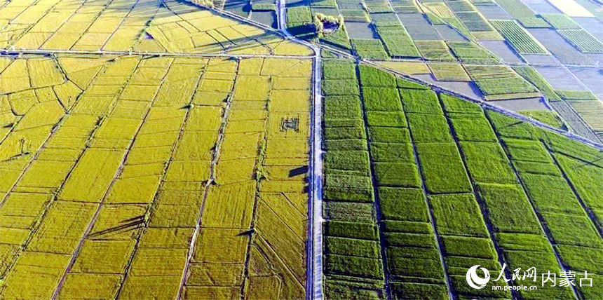 總干渠澆灌河套灌區(qū)千萬畝良田。楊曉軍攝