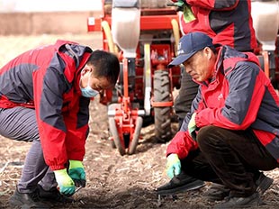 從田野到創(chuàng)新之巔 一名農(nóng)民技術(shù)創(chuàng)新者的輝煌轉(zhuǎn)變