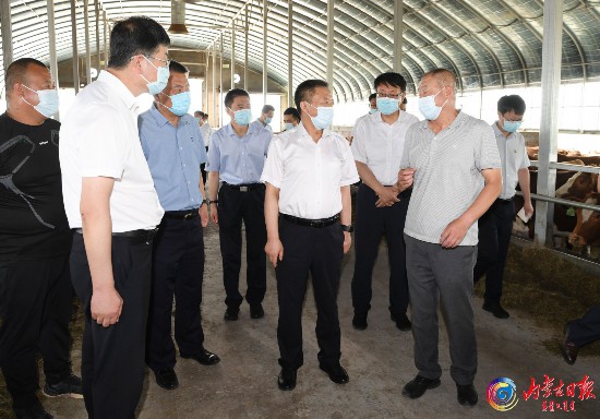 7月4日，自治區(qū)黨委書記孫紹騁來到錫林郭勒盟錫林浩特市沃原良種肉牛繁育基地，了解肉牛產(chǎn)業(yè)發(fā)展情況。記者袁永紅攝